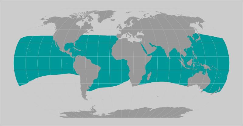 World map providing approximate representation of the giant manta ray's range