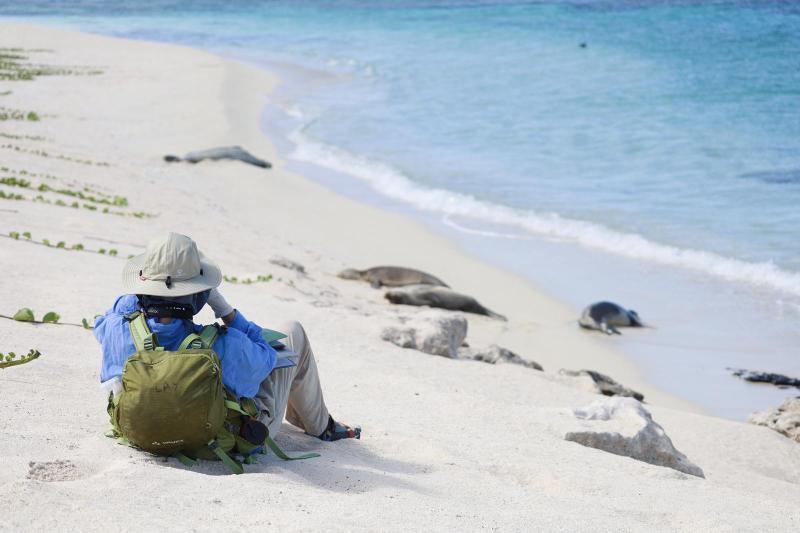 Brenda Becker sits in the sand on a beach with four seals spaced a distance apart along the water’s edge. Her back is toward the camera, and she is leaning back, appearing to observe the seals through binoculars.