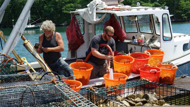 Two men spray baskets of oysters on a boat. 