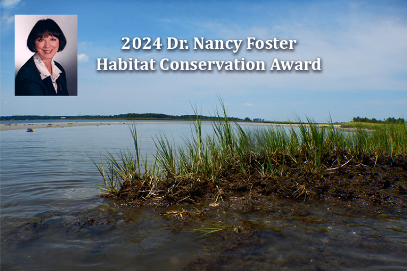 An inset of Dr. Nancy Foster on top of a picture of spiky green marsh grasses close up on a flat expanse of water with a sandy shore in the background