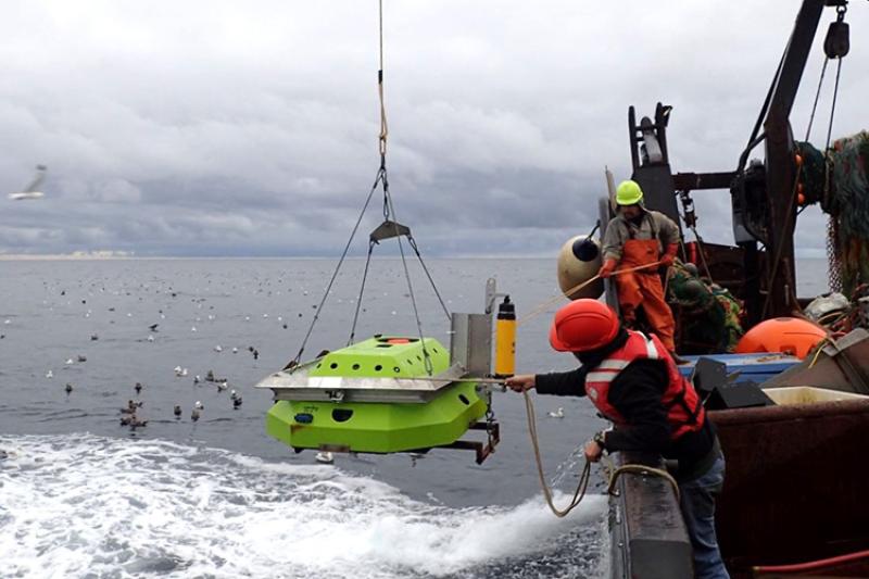 Scientists deploying green mooring into ocean
