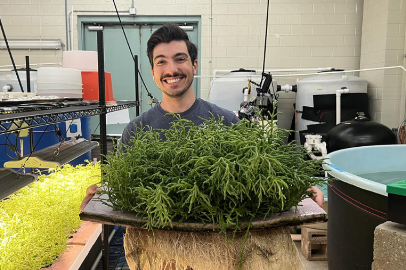 A man with a mustache in a gray shirt stands in a lab, holding a large tray full of green sea beans. On either side of him are tanks growing plants and fish. Other equipment is visible in the background.