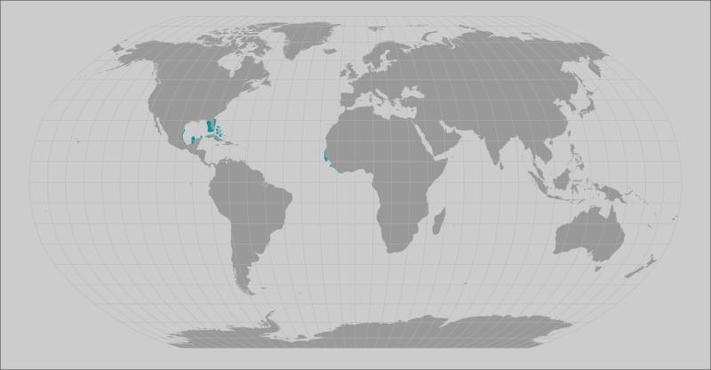 a range map showing where smalltoothsawfish lives