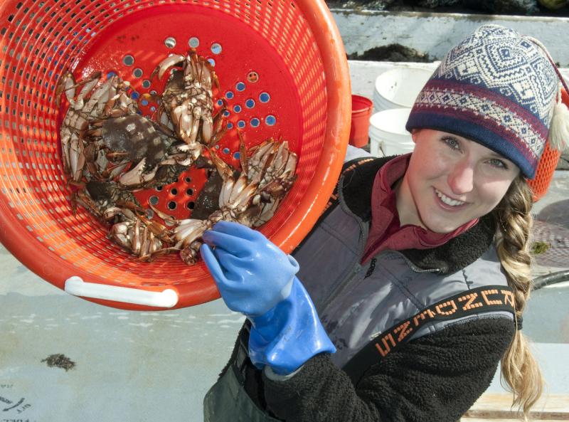 Basket of jonah crabs being held by Anna Mercer.