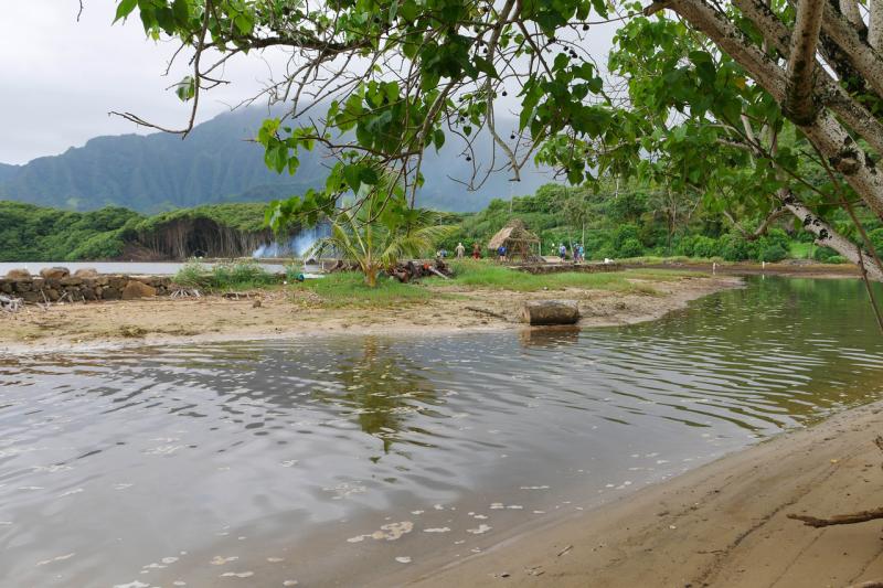 750x500-Hatchery-raised-mullet-transferred-into-He`eia-Fishpond-May-2018.jpg