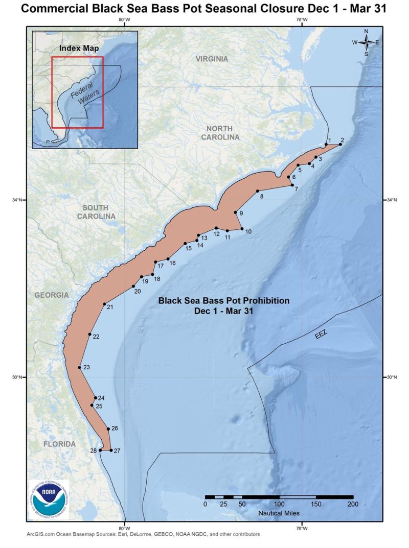 BlackSeaBass_Dec_Mar.jpg BlackSeaBass_Dec_Mar.jpg
