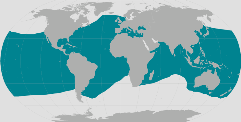 Bottlenose Dolphin Range.png