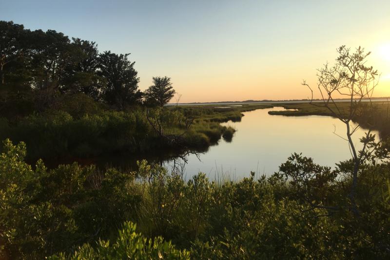 Chincoteague Bay_Maryland_Stephen Heverly.jpg