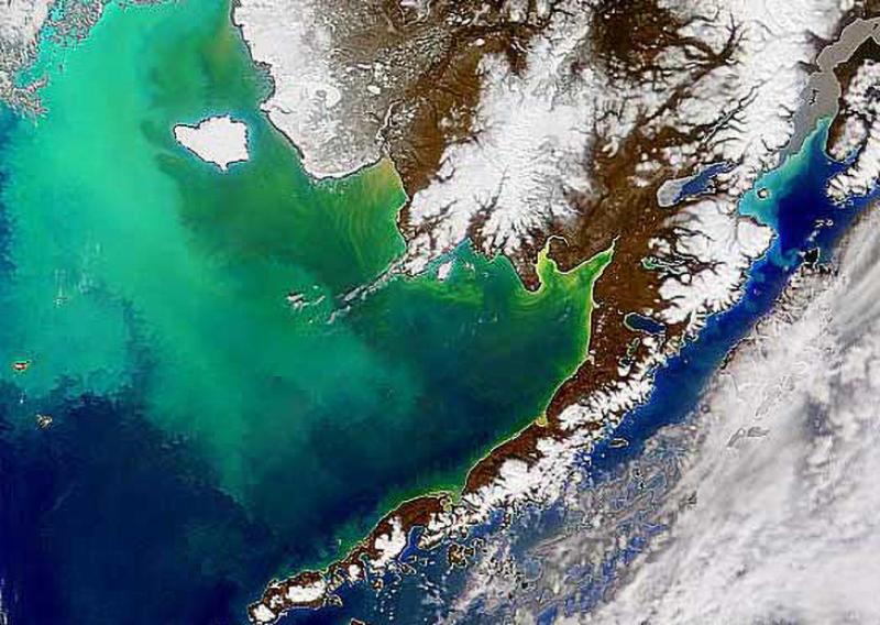 Satellite view of Alaska with green algae blooms in the ocean 