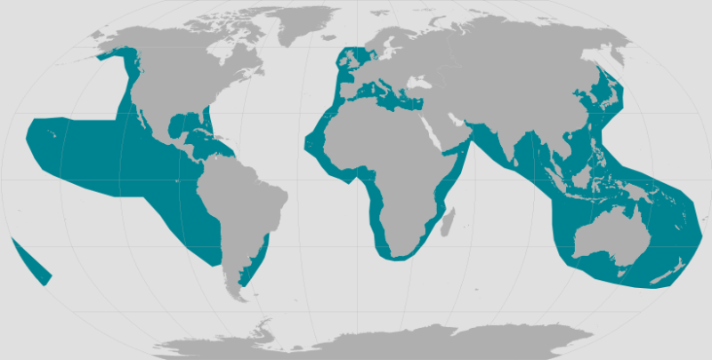 False Killer Whale Range.png