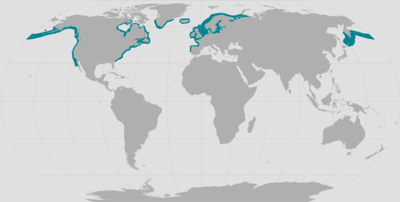 Harbor Seal Range.png