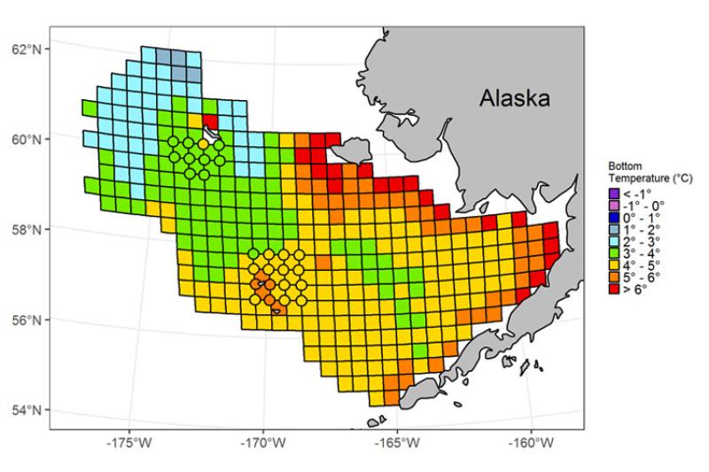 Ocean bottom temperatures in the Bering Sea near Alaska 
