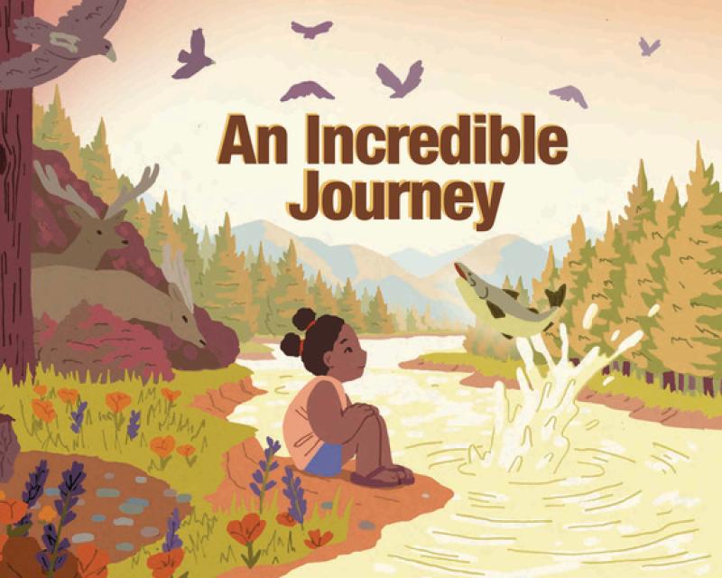 incredible-journey-cover.jpg