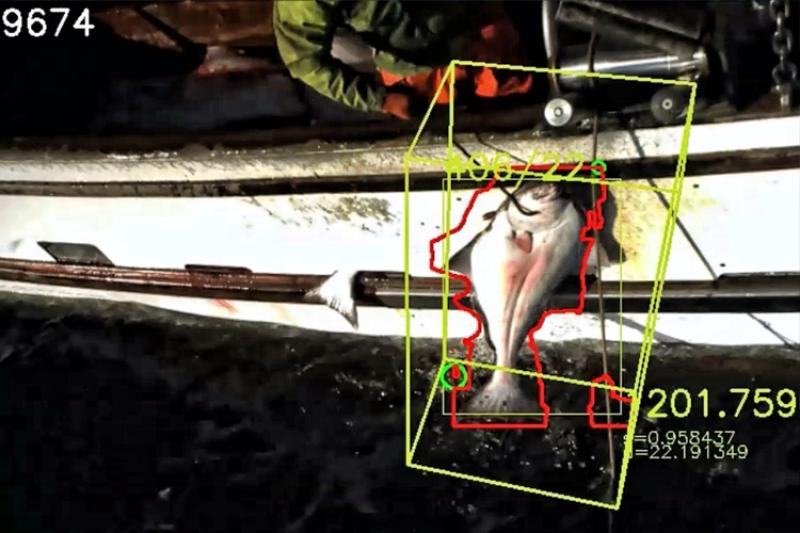 Machine highlighting fish on the side of a ship
