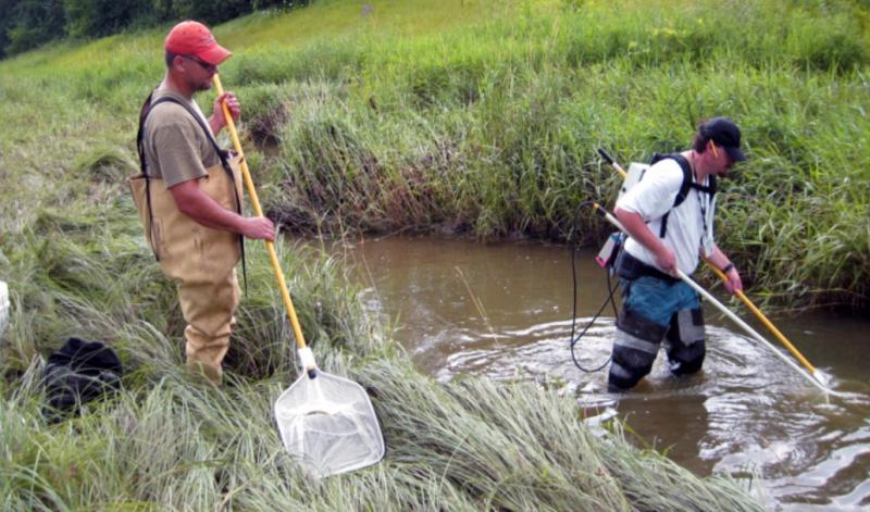 MilwaukeeFishSampling.jpg