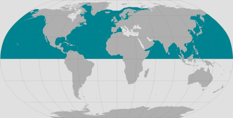 Minke Whale Range.png