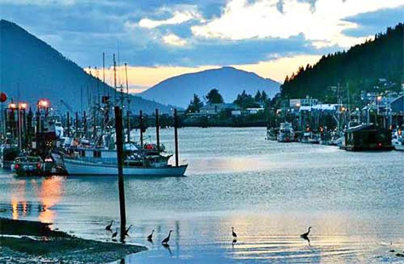 North_Pacific_Groundfish_and_Halibut_Observer_Program1.jpg
