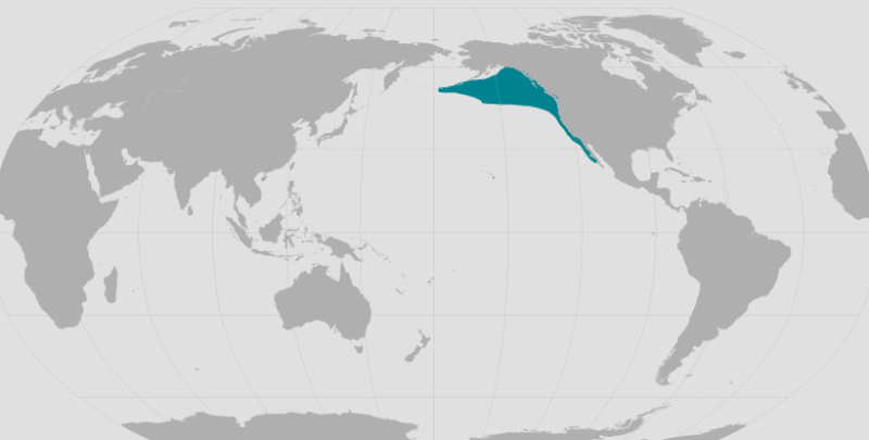 Northern Elephant Seal Range.png