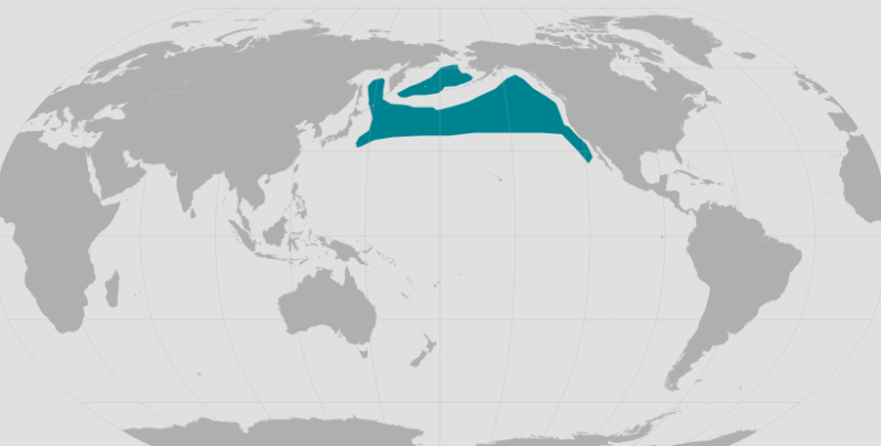 Northern Fur Seal Range.png