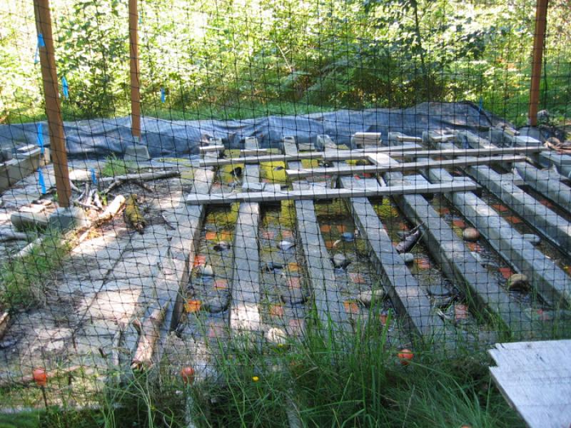 Experimental channels were used to measure affects on food web. Photo: NOAA Fisheries 