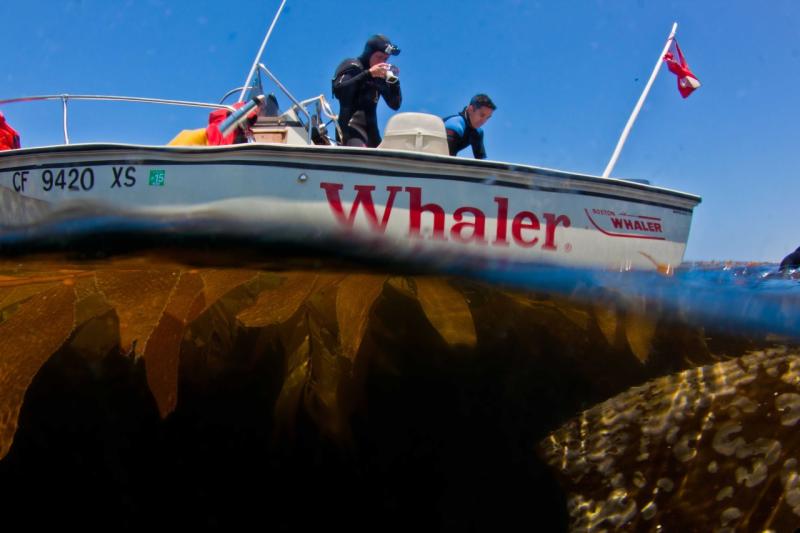 Divers on a vessel preparing to enter the water