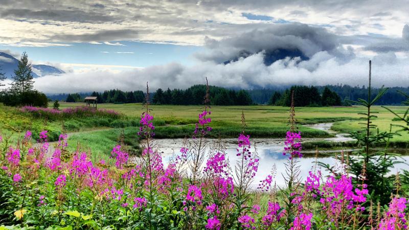 ryamada_wetlands.jpg
