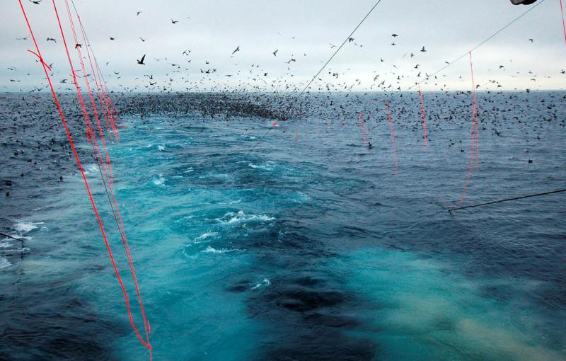streamer lines on nets deterring seabirds behind commercial fishing vessel