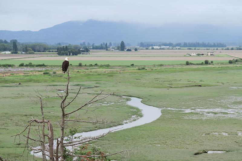 skagit-river-delta_Andrew Stevens USGS_750x500.jpg