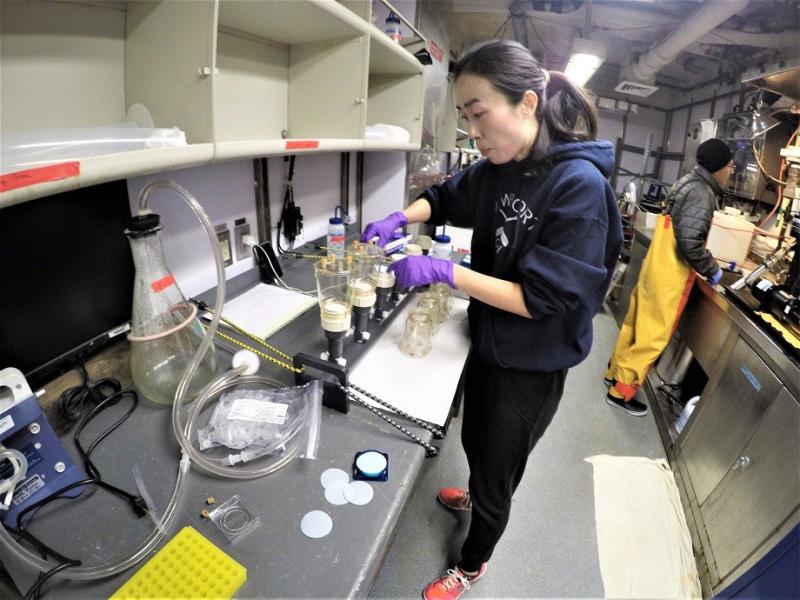 Scientist working in the drylab.