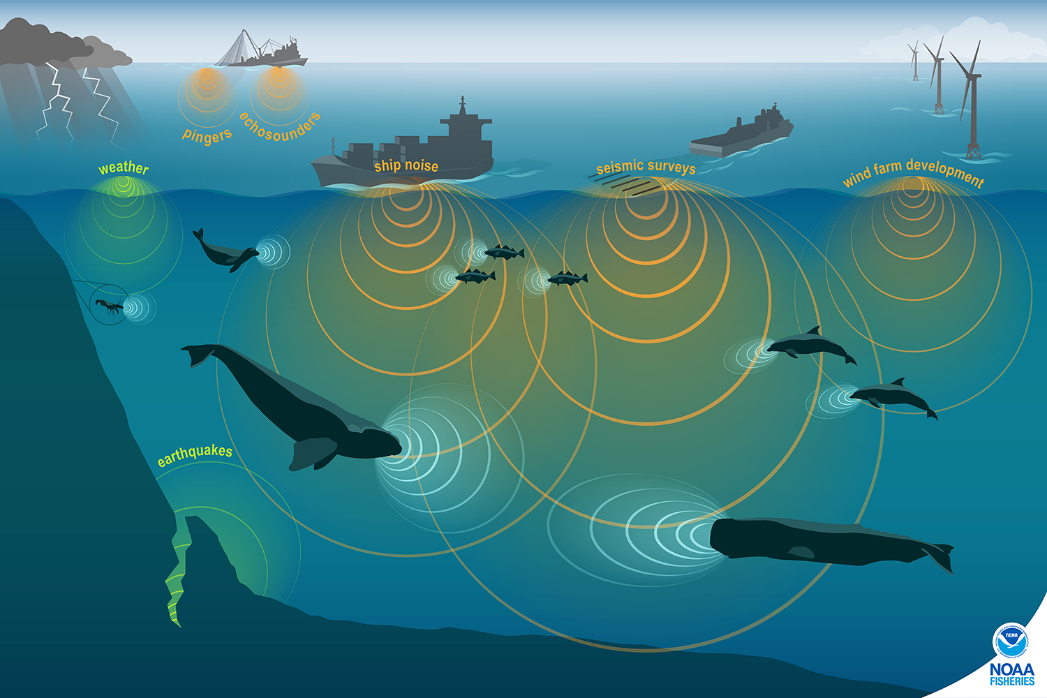 Ocean Noise | NOAA Fisheries
