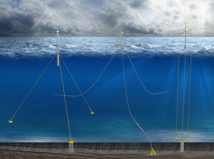 Offshore Wind Mitigation Science