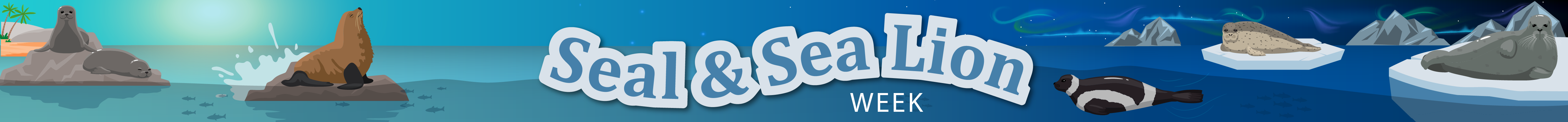 Illustration banner for Seal and Sea Lion Week during March 20-24
