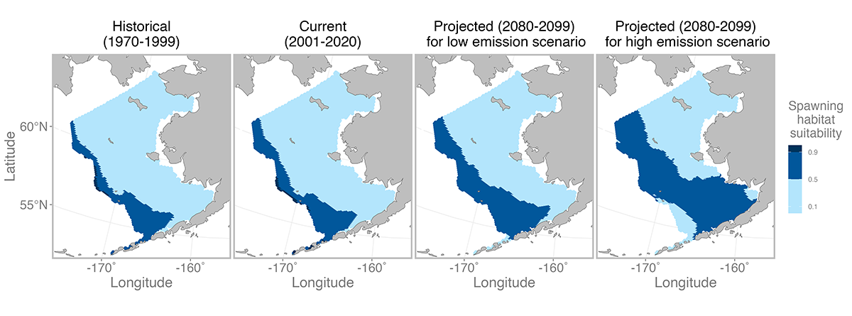 Image of 4 map panels showing thermally suitable spawning habitat for Pacific cod in the Bering Sea in historical, current, projected for low emission scenario, projected for high emission scenario.