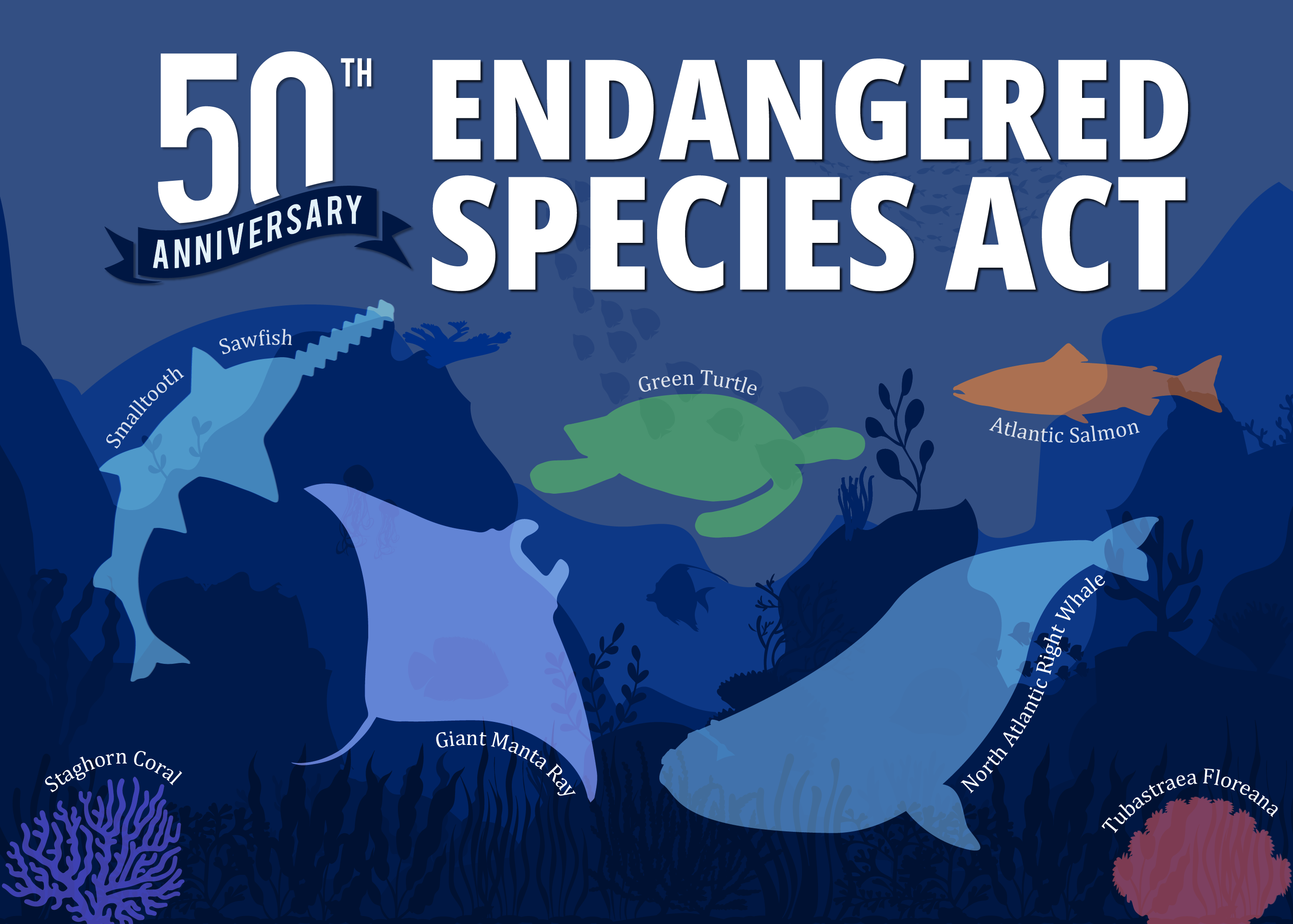 Extinct Animal of the Week: Sizes and Species