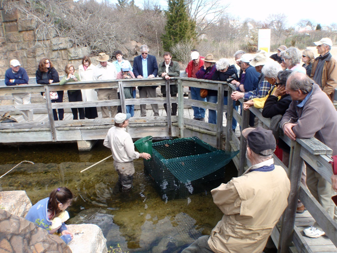 In the spring, river herring spawning runs can be highly visible, offering opportunities for public engagement. This event, convened by the Connecticut Department of Energy and Environmental Protection in Bride Brook, East Lyme, Connecticut, allowed attendees a chance to explore their local river herring run.