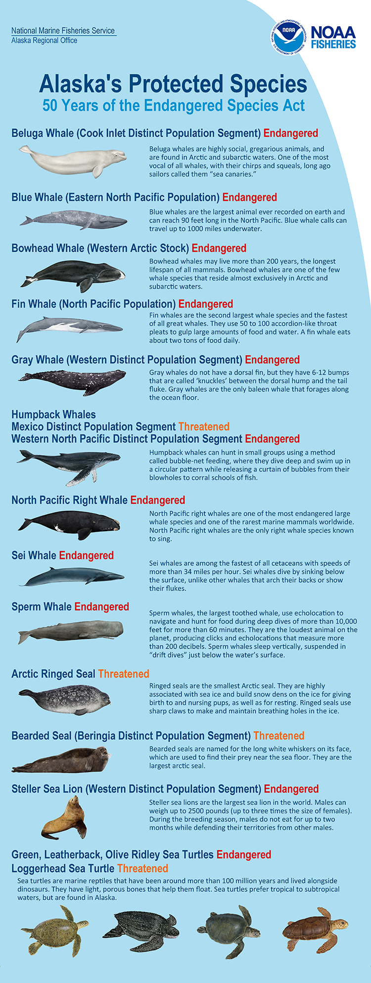 Graphic showing ESA-listed species found in Alaska