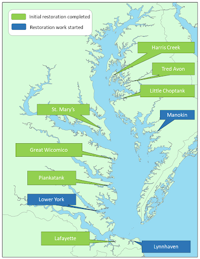 A map of the Chesapeake Bay shows the location of the 10 tributaries where oyster restoration is either under way or completed as of summer 2023.
