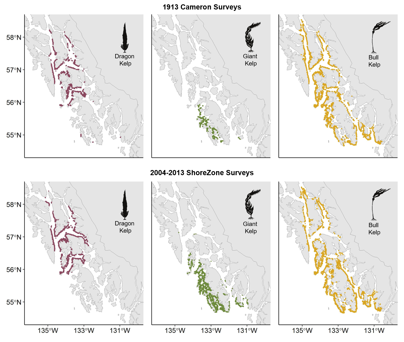 Canopy kelp forests in Alaska | NOAA Fisheries