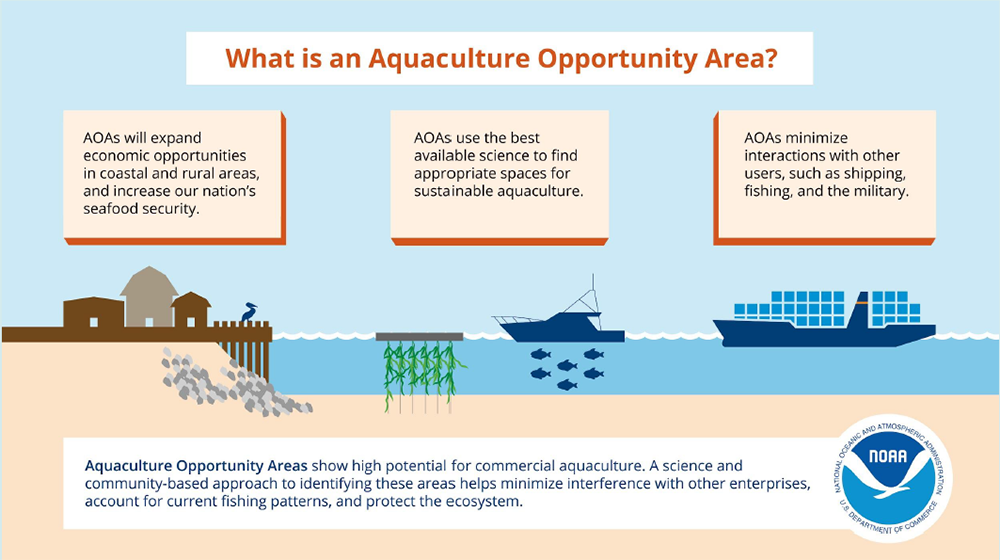 a conceptual diagram of the AOA Process.