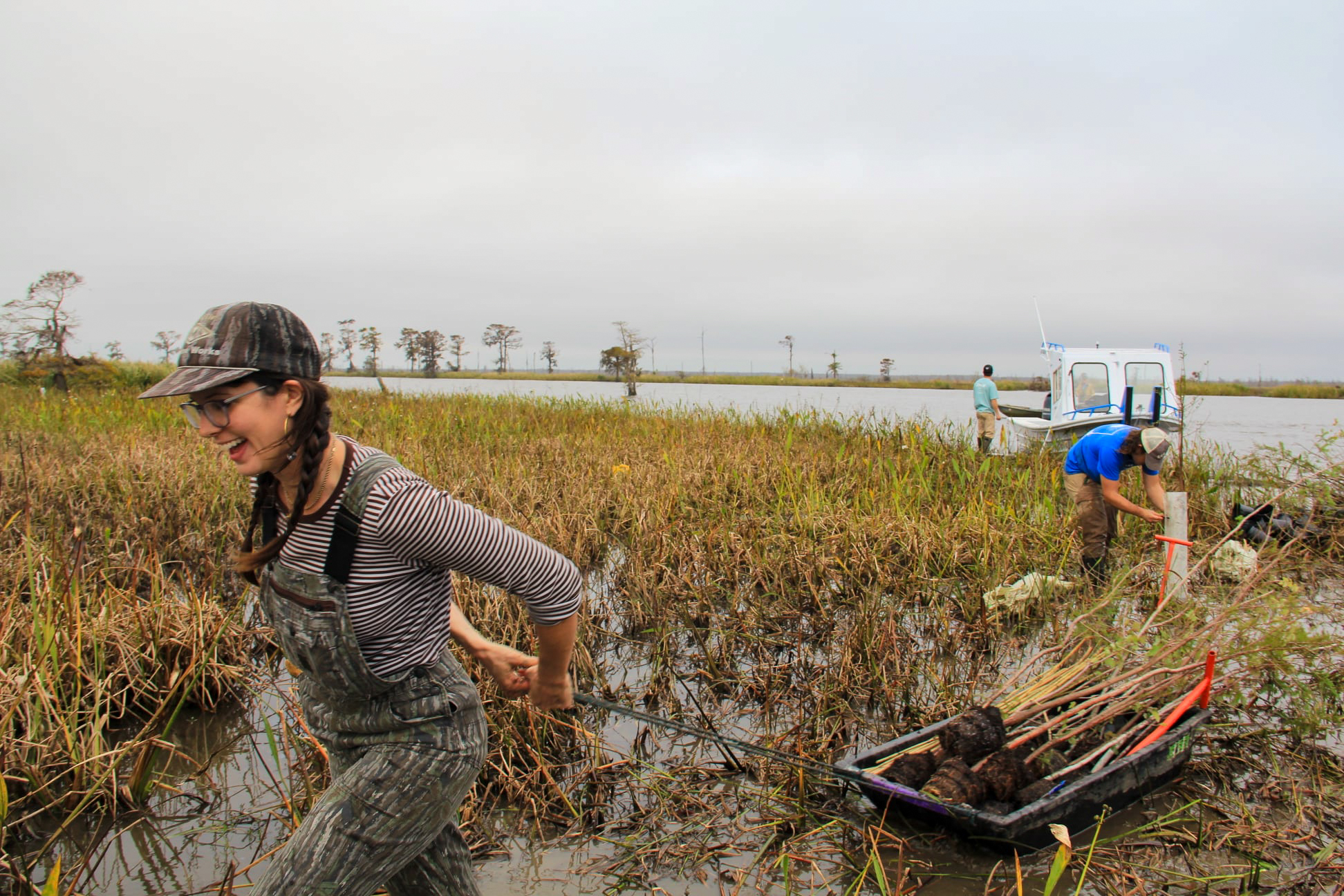 Volunteers planting trees with the Coalition to Restore Coastal Louisiana