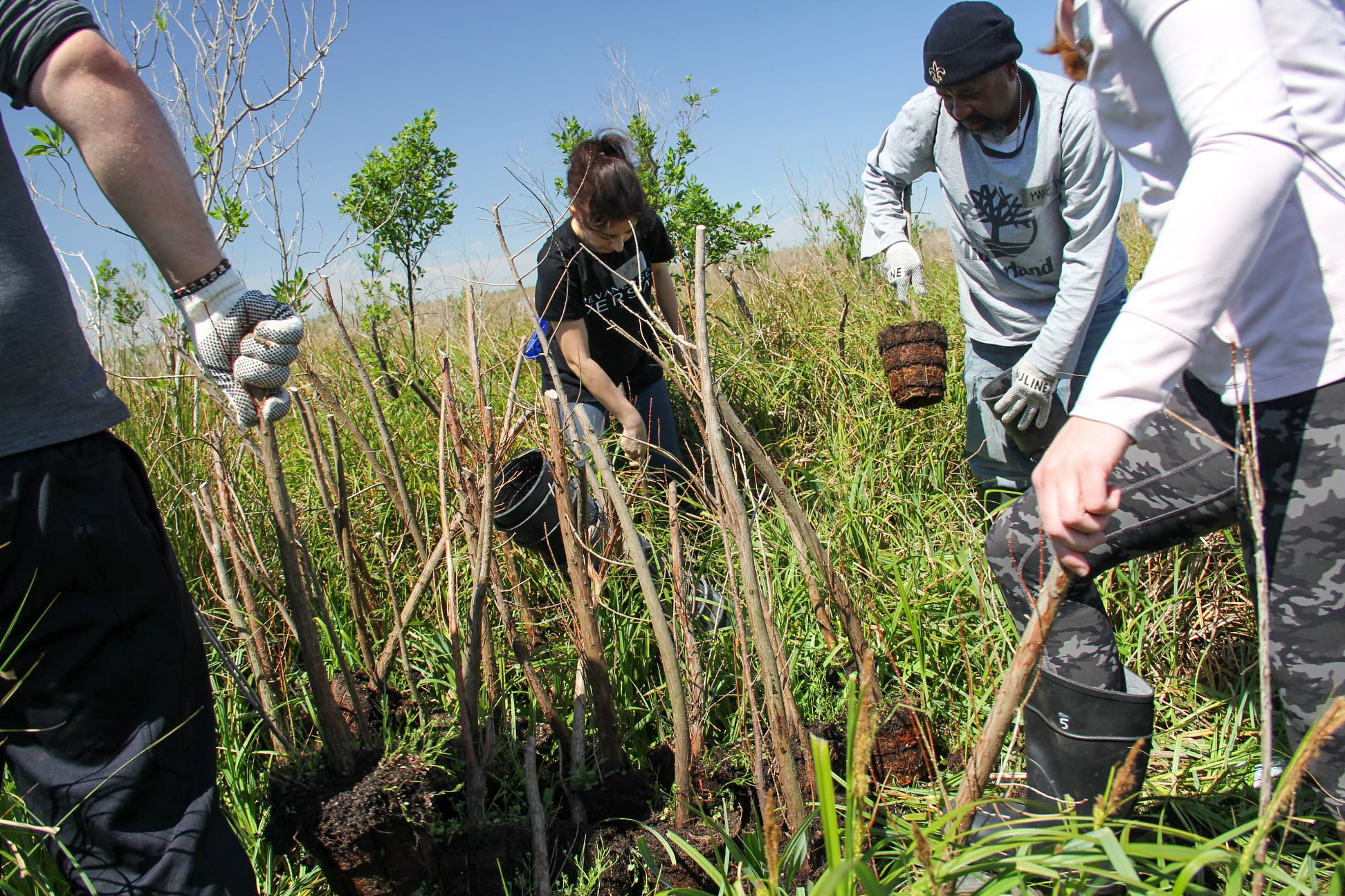 Volunteers planting trees in the Central Wetlands Unit
