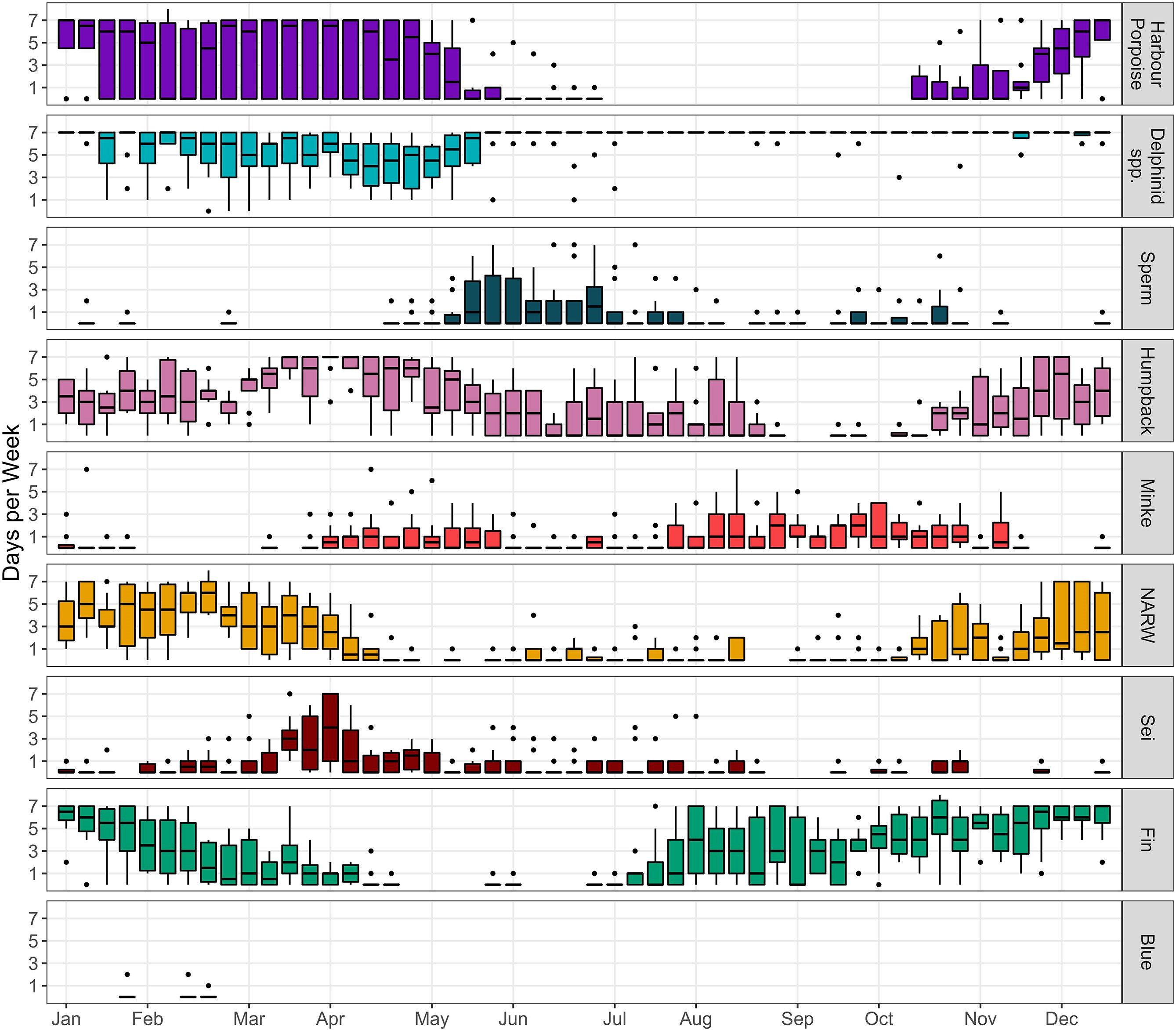 Weekly acoustic presence summary of eight cetacean species (harbor porpoise, sperm whale, humpback whale, minke whale, North Atlantic right whale (NARW), sei whale, fin whale, blue whale) and one family (Delphinid sp.). The boxplots represent the median number of days of acoustic presence per calendar week across all data at four recording sites, in the southern New England offshore wind energy area. Only recorders with 2 or more years of data (NS01, NS02, COX01, and COX02) were used. Horizontal lines withi