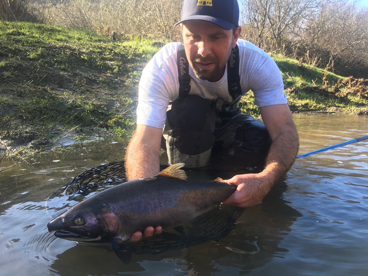 dam-migration-miss/1280_YTZ5bjWMtgK3.jpg Man crouches in shallow creek holding a salmon into the water for release.
