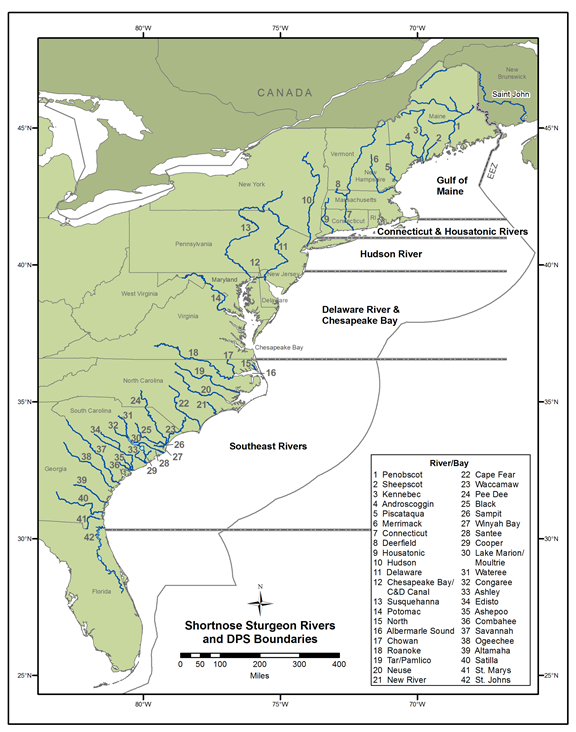 Map of rivers where shortnose sturgeon are found and DPS boundaries.