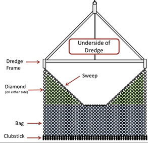 Diagram of underside of dredge labeled from top to bottom—dredge frame, diamond, bag, and clubstick.