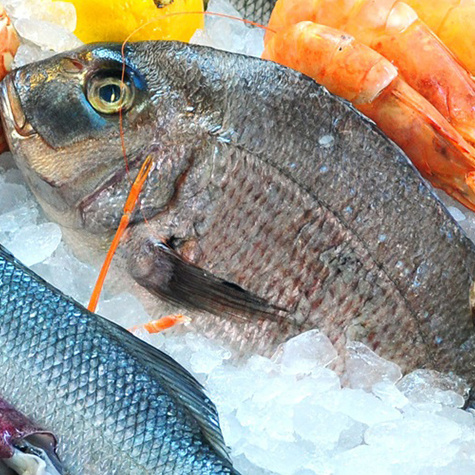 Sustainable Fish to Eat  Marine Stewardship Council