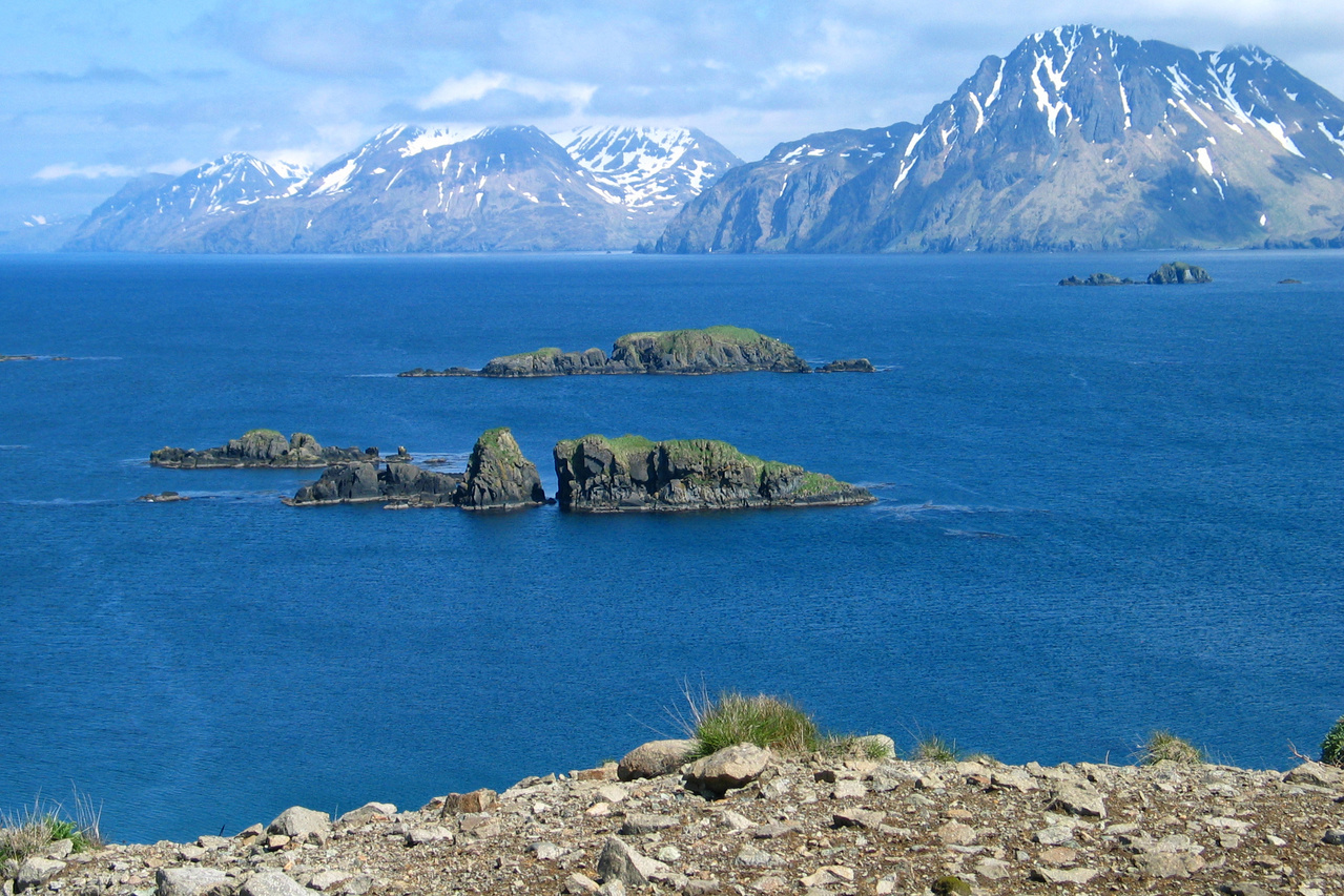 6 Reasons Why Alaska's Aleutian Islands Are A Hot Spot For Sea Life