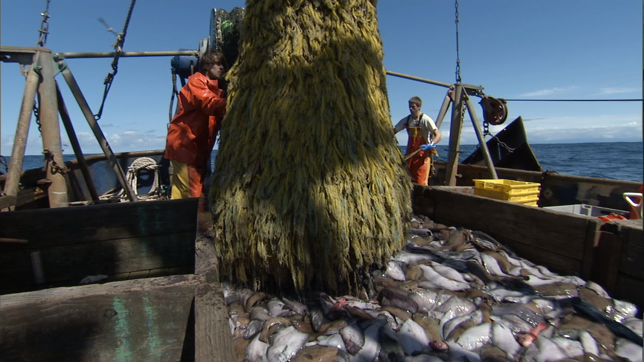 Bycatch2016_Thumbnail3.jpg