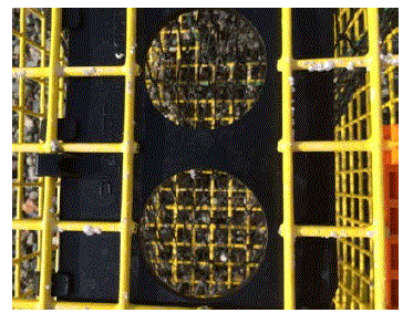 Close-up photo of a circular escape vent of a lobster trap