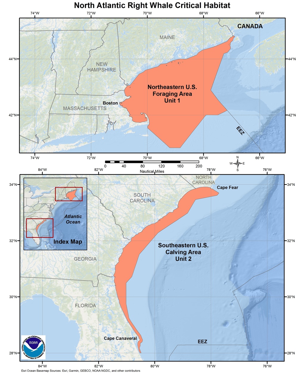 Island Of The Blue Dolphins Map Activity